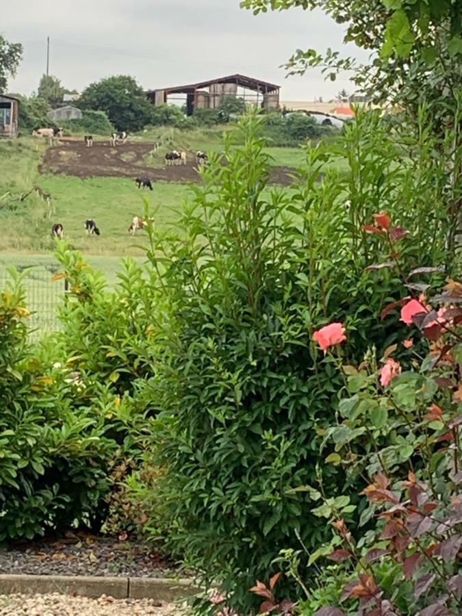 Bresse Vallons Gite Les Combes Terrasse 01340 Etrez מראה חיצוני תמונה